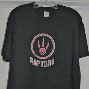 𝅺LARGE Mens  | Toronto Raptors | TEE